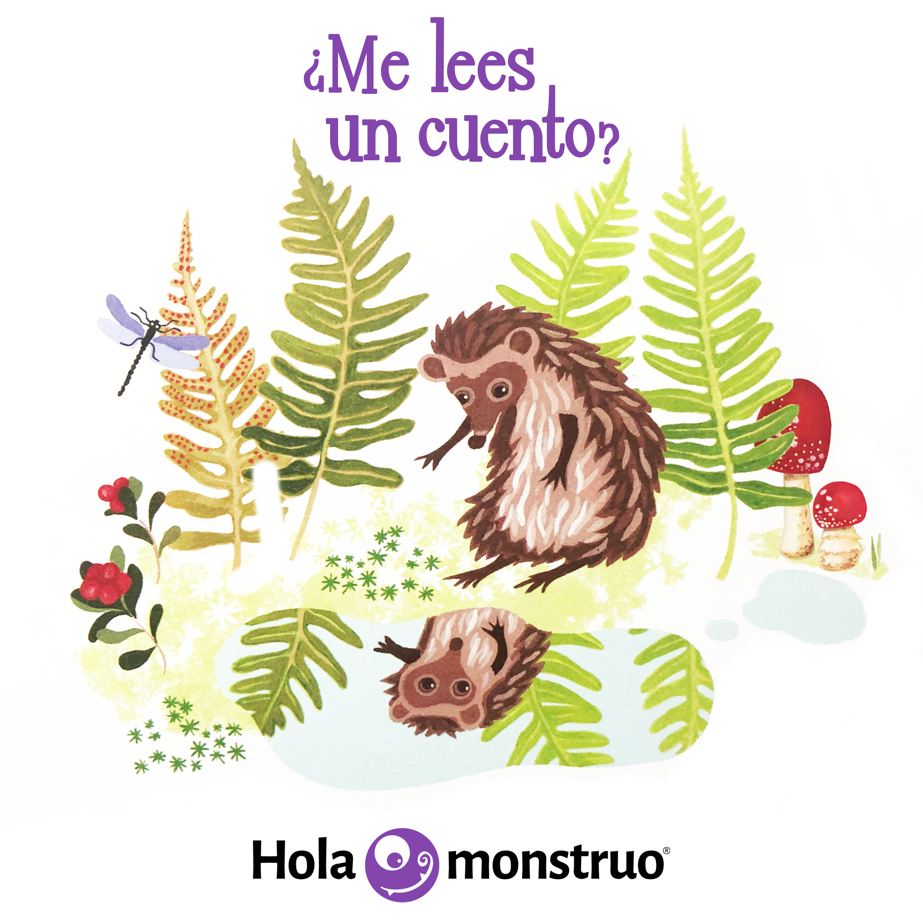 El erizo se va de casa